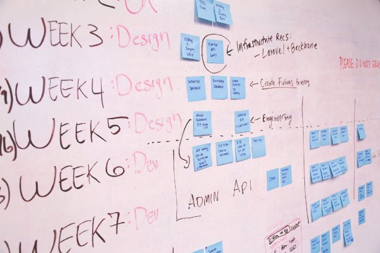 What is the Project Scope