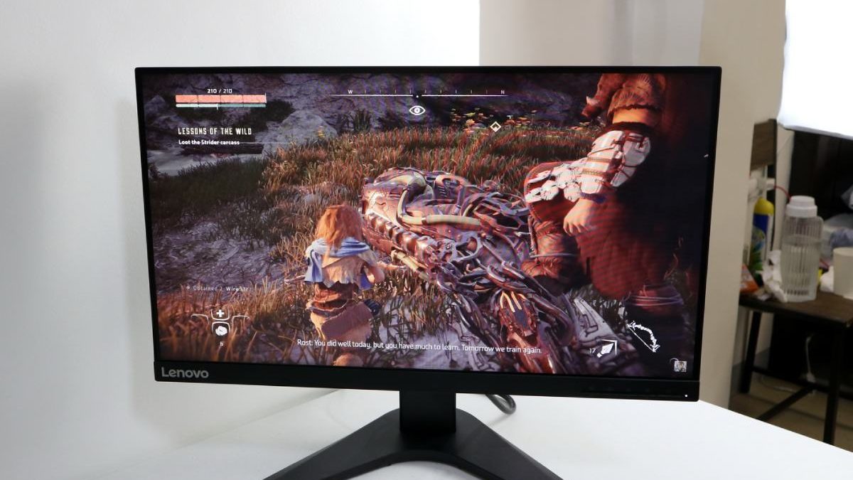 Lenovo G25-10 Gaming Monitor Review – Fast And Affordable
