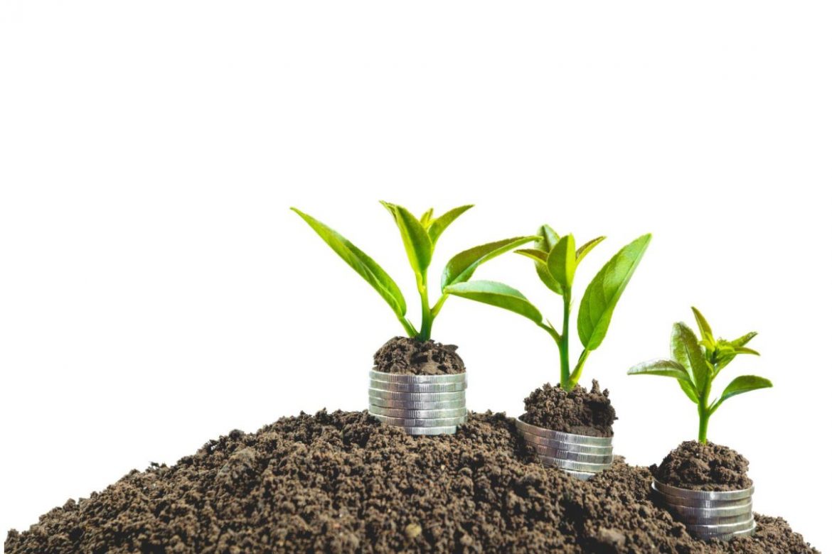 New to Ethical Investing_ Here are a Few Proven ESG Strategies New to Ethical Investing_ Here are a Few Proven ESG Strategies