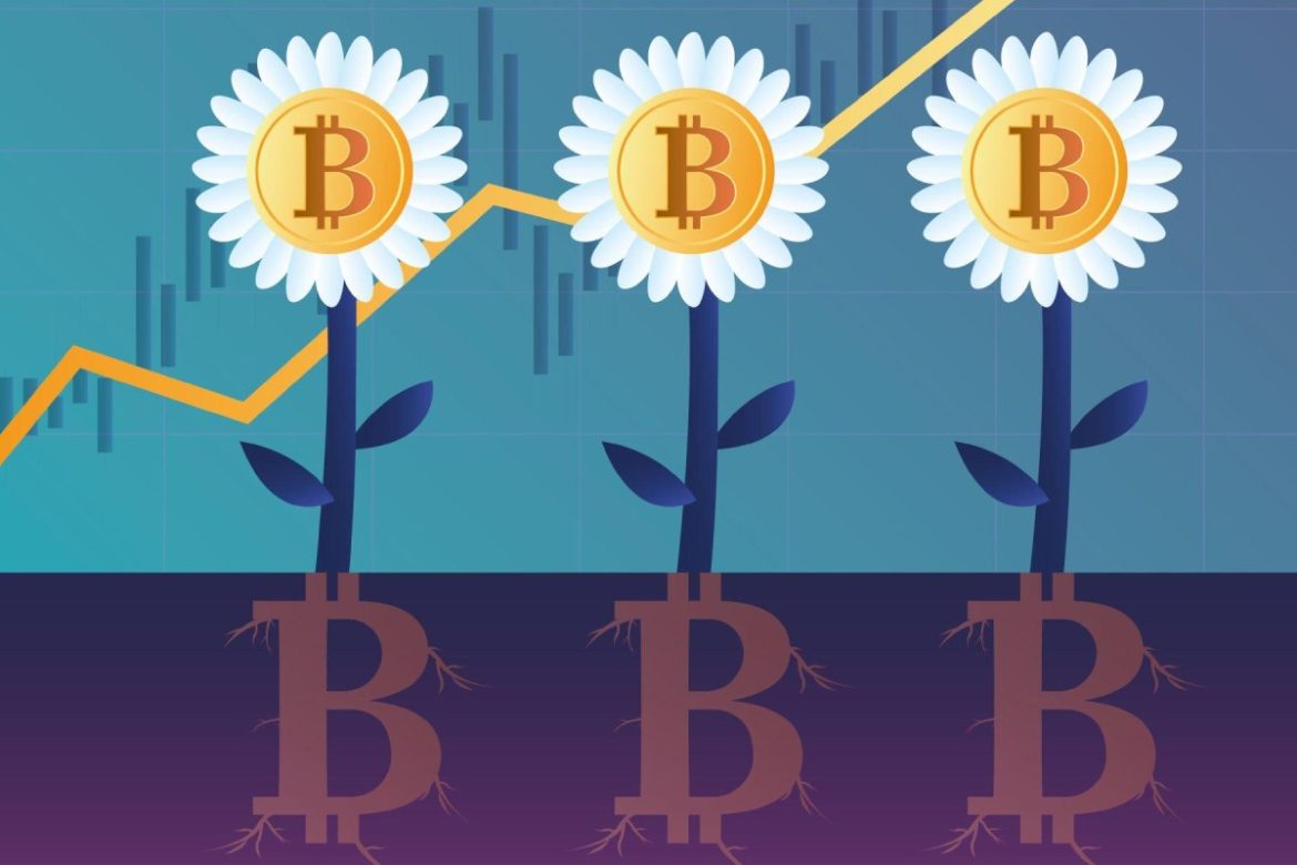 Which factors should be considered while choosing a Crypto Yield Farming Platform