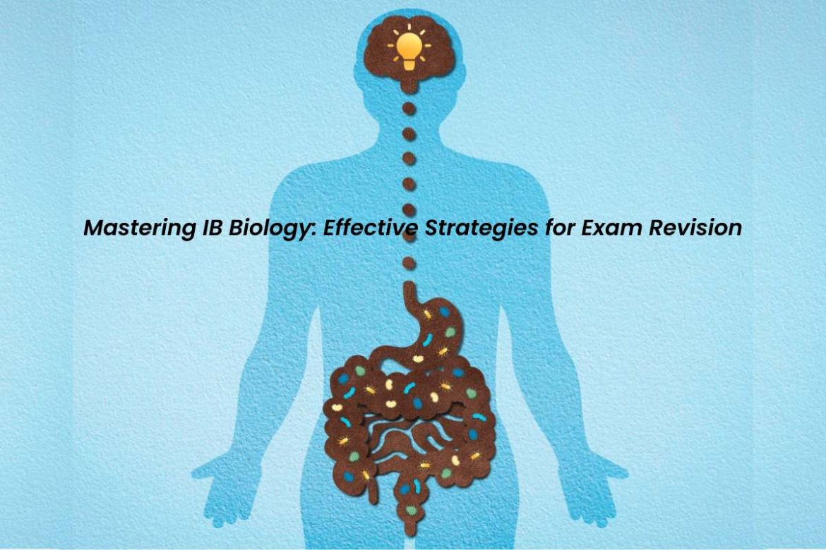 IB Biology IB Biology