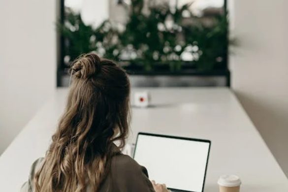 Vendor Management