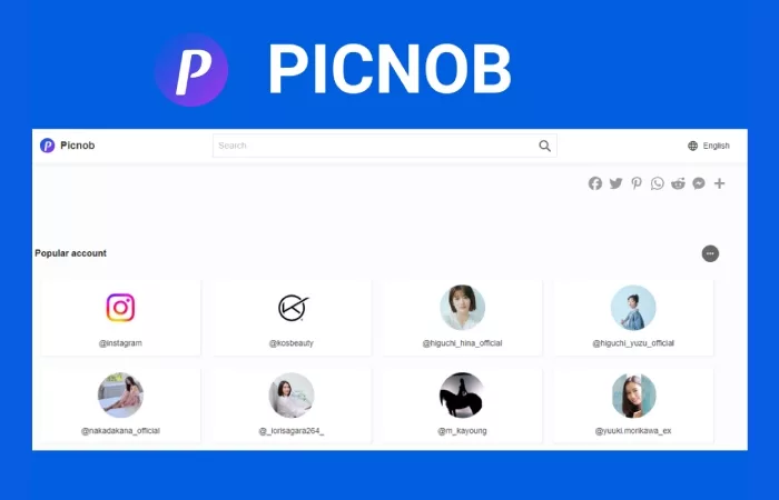 Steps to Use the Picnob App for Anonymously