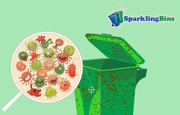Sparkling Bins On Bacterial And Fungal Infection