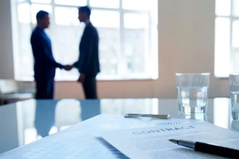 Government Contract Consultant