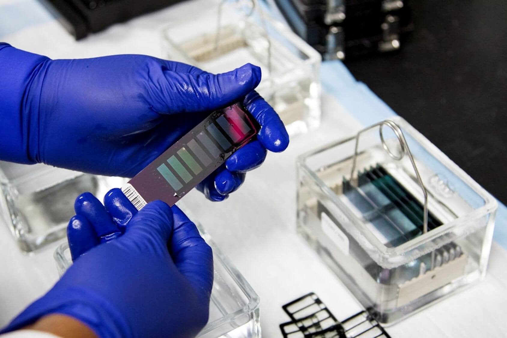 Become a Medical Lab Scientist