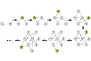 Evolving Network