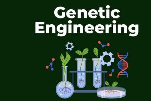 Genetic Engineering