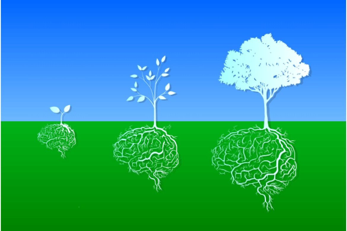 Why Continuous Learning Matters Even After You’ve Achieved Career Goals 